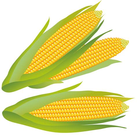 corn cartoon vector|free printable corn images.